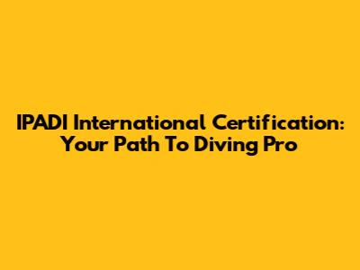 IPADI International Certification: Your Path To Diving Pro