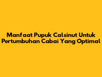 Manfaat Pupuk Calsinut Untuk Pertumbuhan Cabai Yang Optimal